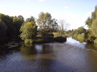 walk6
