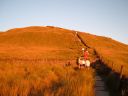 Filename=Shullingsloe_013.jpg
Filesize=200KiB
Dimensions=800x600
Date added=Oct 13, 2014 Shullingsloe_013.jpg