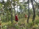 Filename=IH_Run2_PA280238.jpg
Filesize=339KiB
Dimensions=800x600
Date added=Oct 06, 2014 IH_Run2_PA280238.jpg