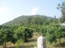 Filename=IH_Run2_PA280239.jpg
Filesize=224KiB
Dimensions=800x600
Date added=Oct 06, 2014 IH_Run2_PA280239.jpg