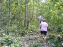 Filename=IH_Run6_20061028_005.jpg
Filesize=365KiB
Dimensions=800x600
Date added=Oct 06, 2014 IH_Run6_20061028_005.jpg