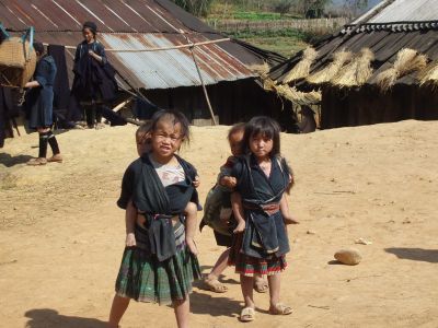 Black Hmong 002
