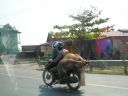 Filename=cow.jpg
Filesize=174KiB
Dimensions=800x600
Date added=Oct 06, 2014 cow.jpg