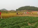 Filename=IH_HanoiHash_013.jpg
Filesize=222KiB
Dimensions=800x600
Date added=Oct 06, 2014 IH_HanoiHash_013.jpg