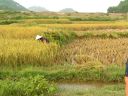 Filename=IH_HanoiHash_016.jpg
Filesize=299KiB
Dimensions=800x600
Date added=Oct 06, 2014 IH_HanoiHash_016.jpg