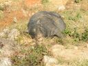 Filename=SaPaWalk_MR_20061105_007.jpg
Filesize=354KiB
Dimensions=800x600
Date added=Oct 06, 2014 SaPaWalk_MR_20061105_007.jpg