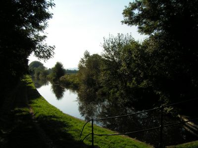 hwe2008 008
