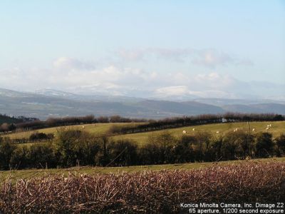 View-A5151
