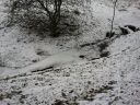 2010-12-26_13_26_36.jpg