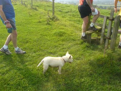 shrewsbury 2010 005
